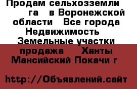 Продам сельхозземли ( 6 000 га ) в Воронежской области - Все города Недвижимость » Земельные участки продажа   . Ханты-Мансийский,Покачи г.